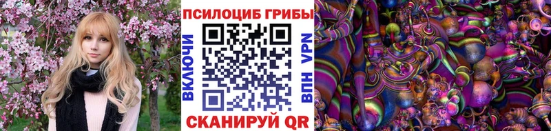 купить наркотик  Шебекино  Галлюциногенные грибы мухоморы 